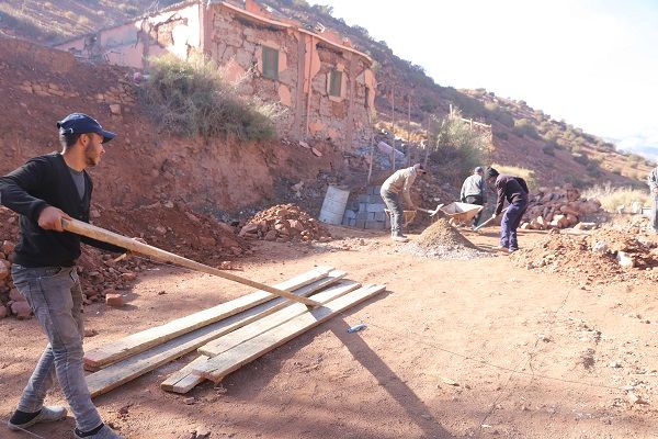 Actions de reforestation